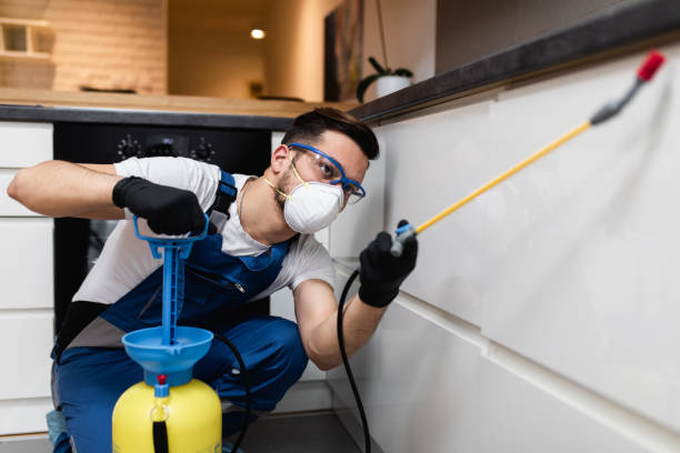 Best Insect Control  in Bridgeport, PA