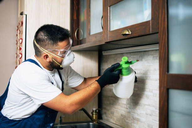 Best Insect Control  in Bridgeport, PA