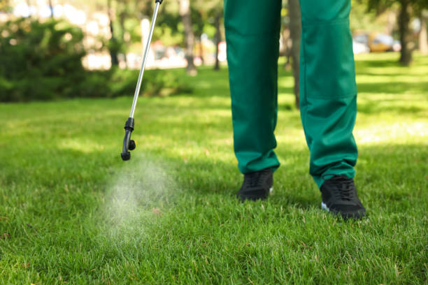 Insect Control in Bridgeport, PA