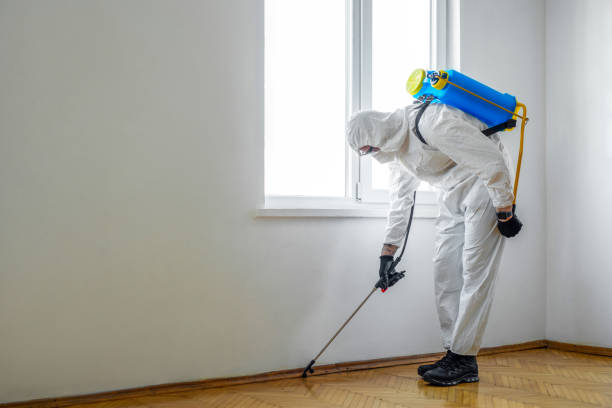 Best Pest Prevention Services  in Bridgeport, PA