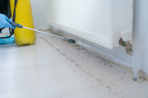 Best Wildlife Control Services  in Bridgeport, PA