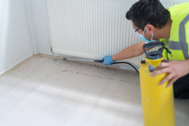 Professional Pest Control in Bridgeport, PA